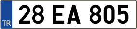 Truck License Plate